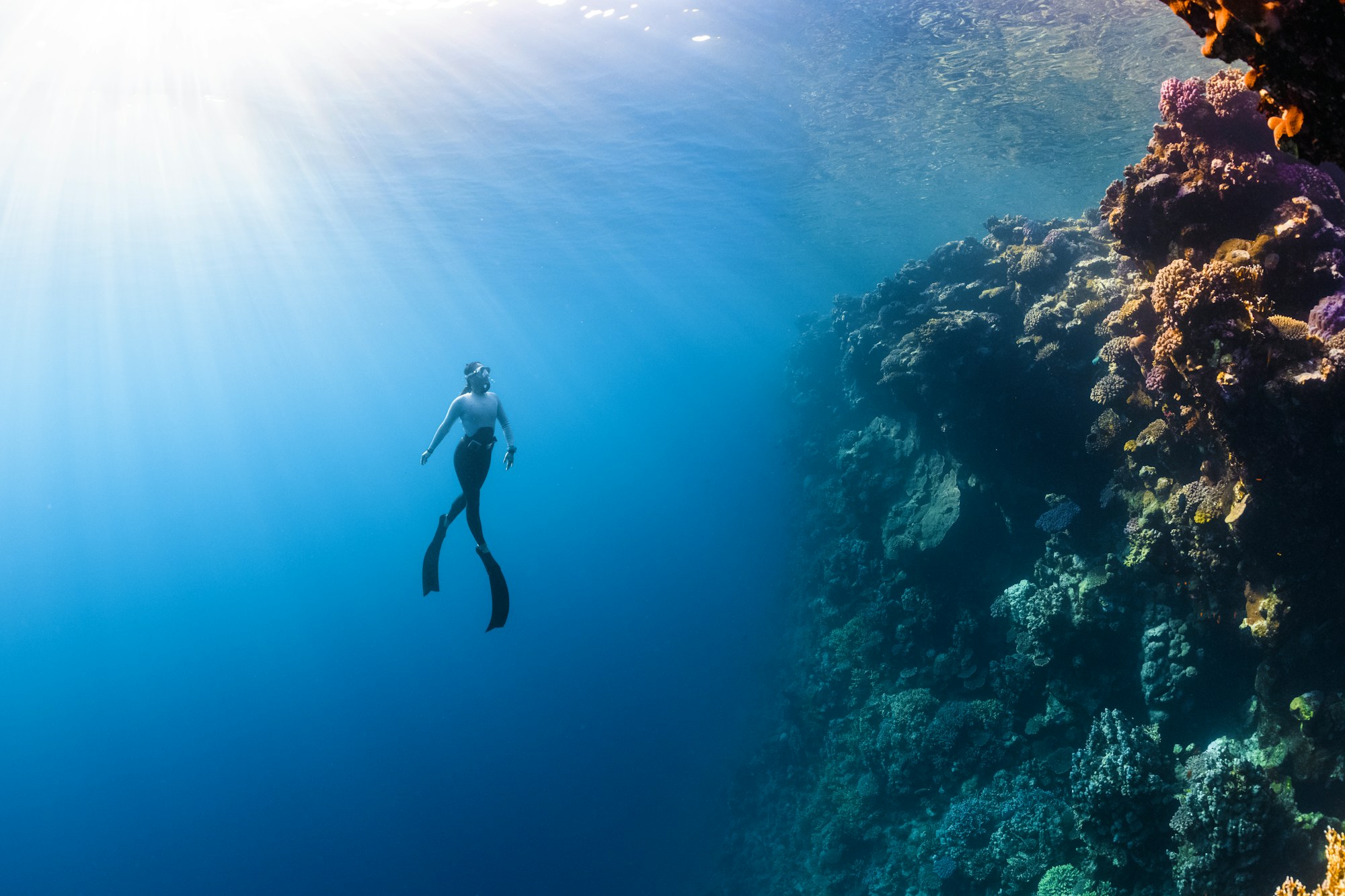 Freediver ascending toward sunlight along a coral wall